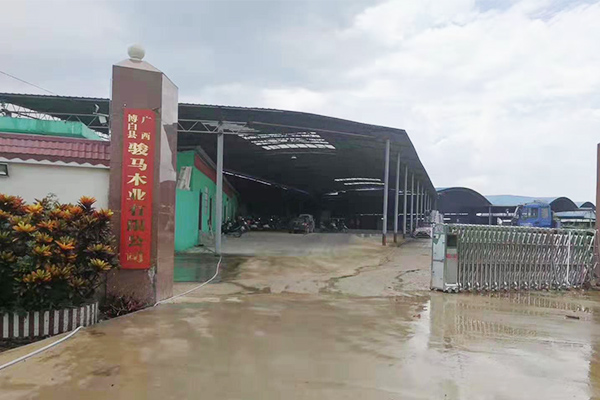 江西柳州优质胶合板生产厂家