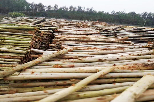菲律宾优质木业生产厂家
